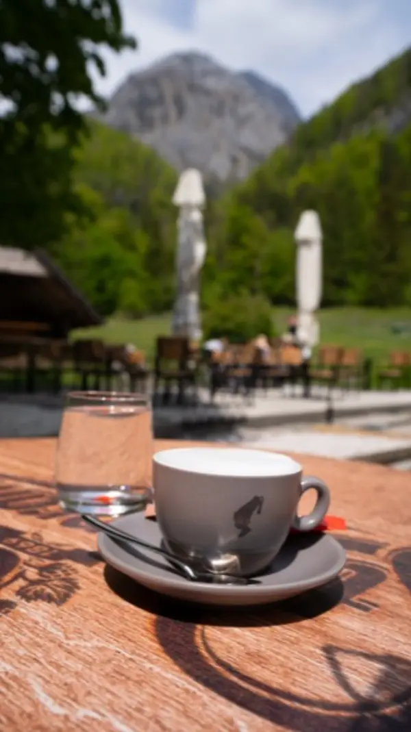 Slikovit pogled na dolino Kamniške Bistrice