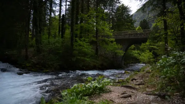 Pogled na Kamniške Alpe iz Doma v Kamniški Bistrici