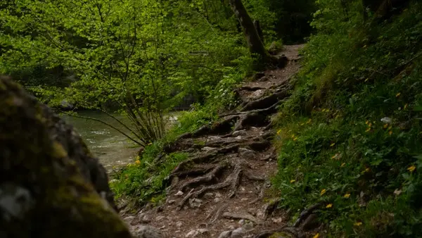 Ambient in notranjost gostišča Dom v Kamniški Bistrici
