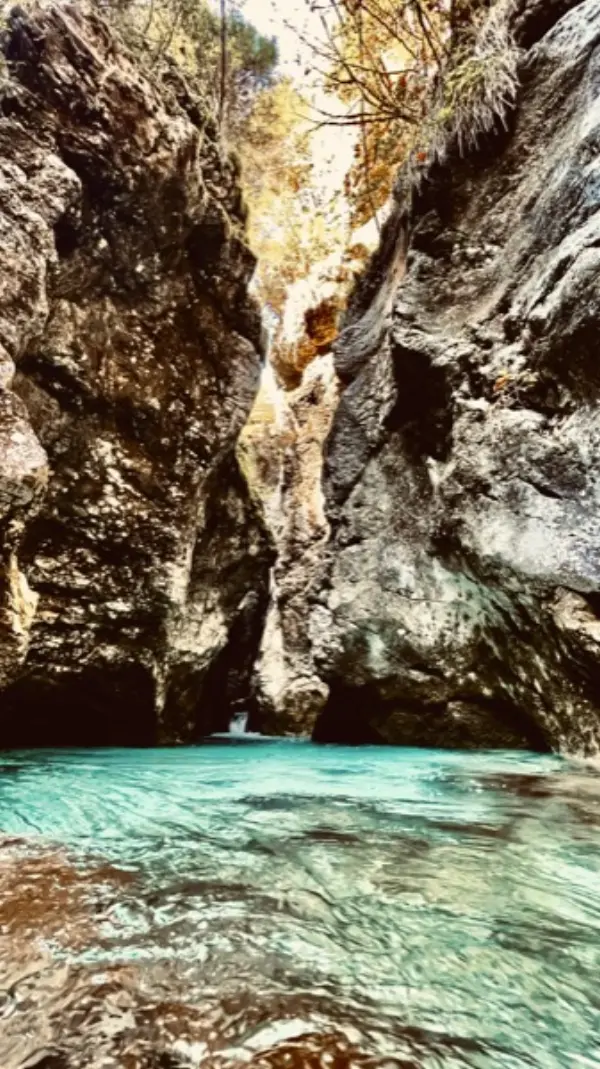 Hrana in kulinarična ponudba Doma v Kamniški Bistrici